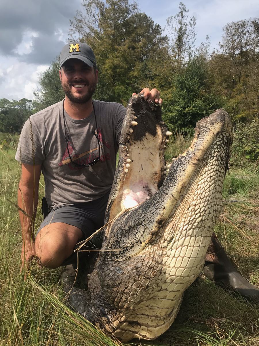 Hunter with a harvested alligator