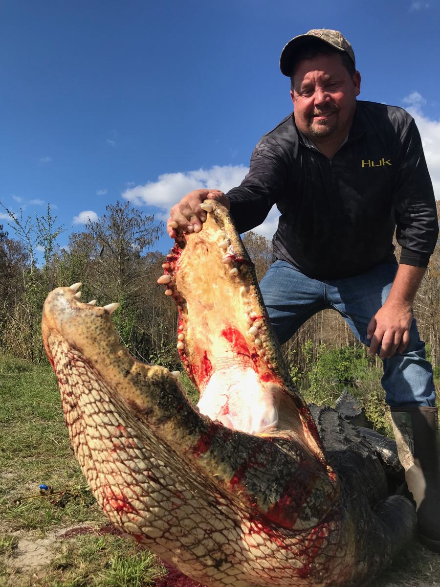 Hunter with a harvested alligator