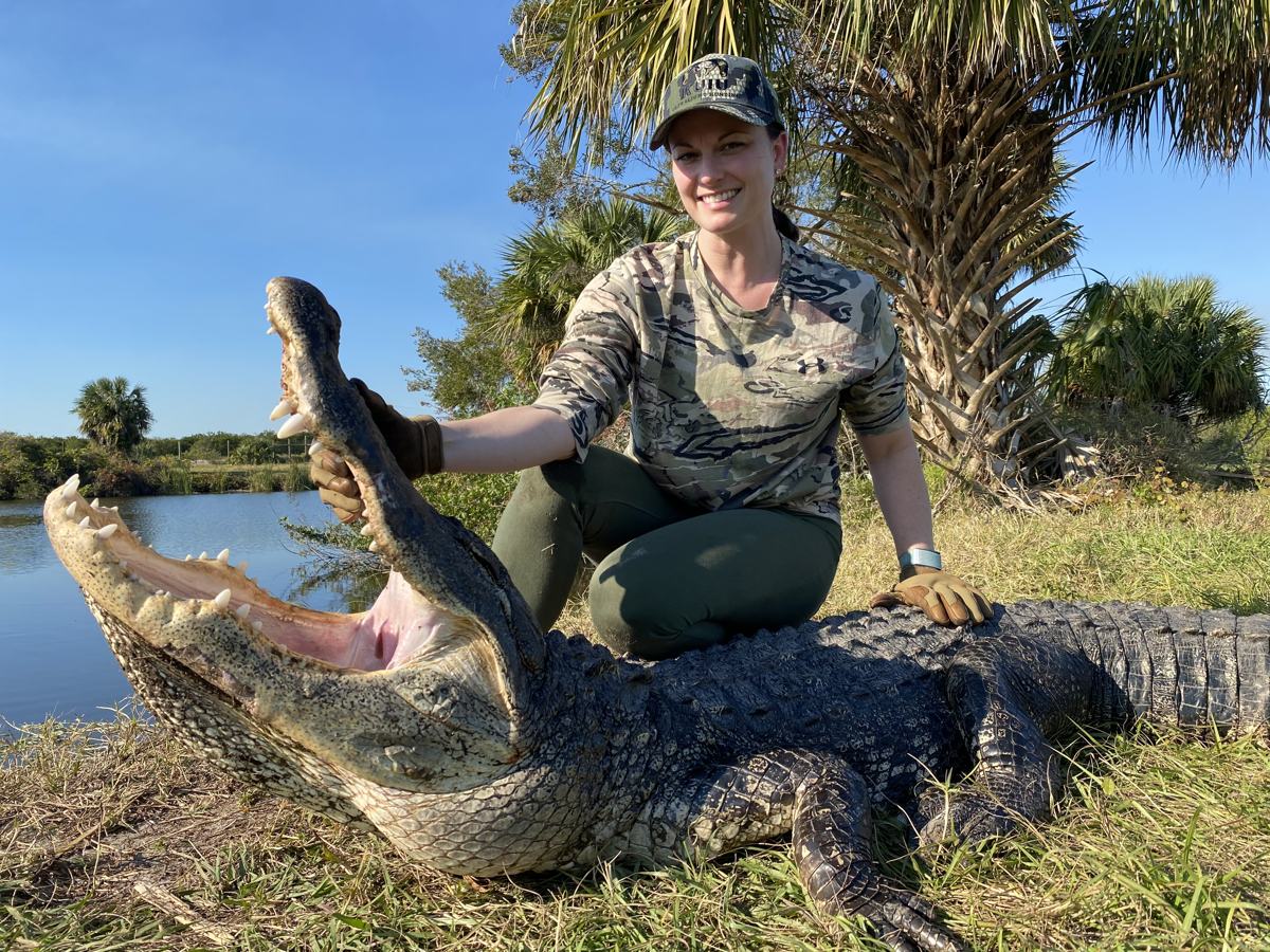 Hunter with a harvested alligator