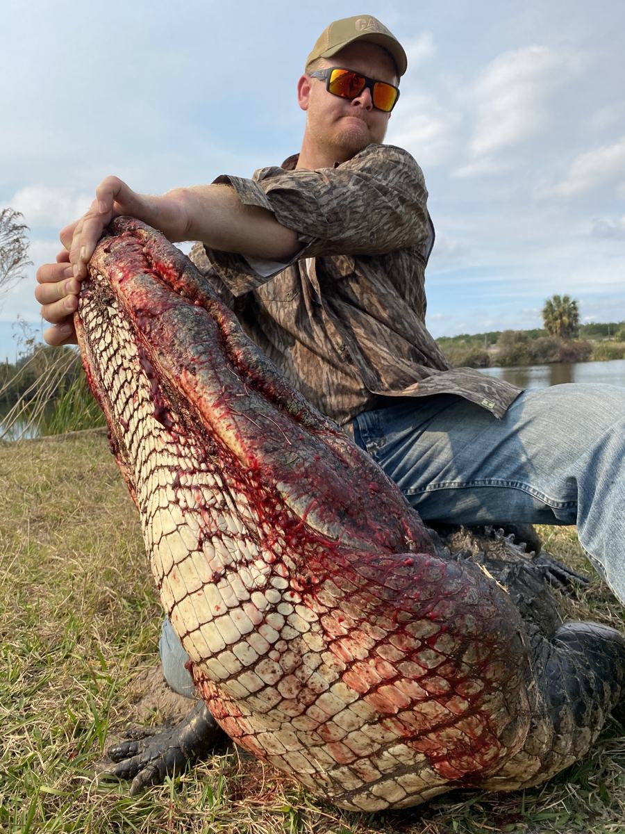 Hunter with a harvested alligator