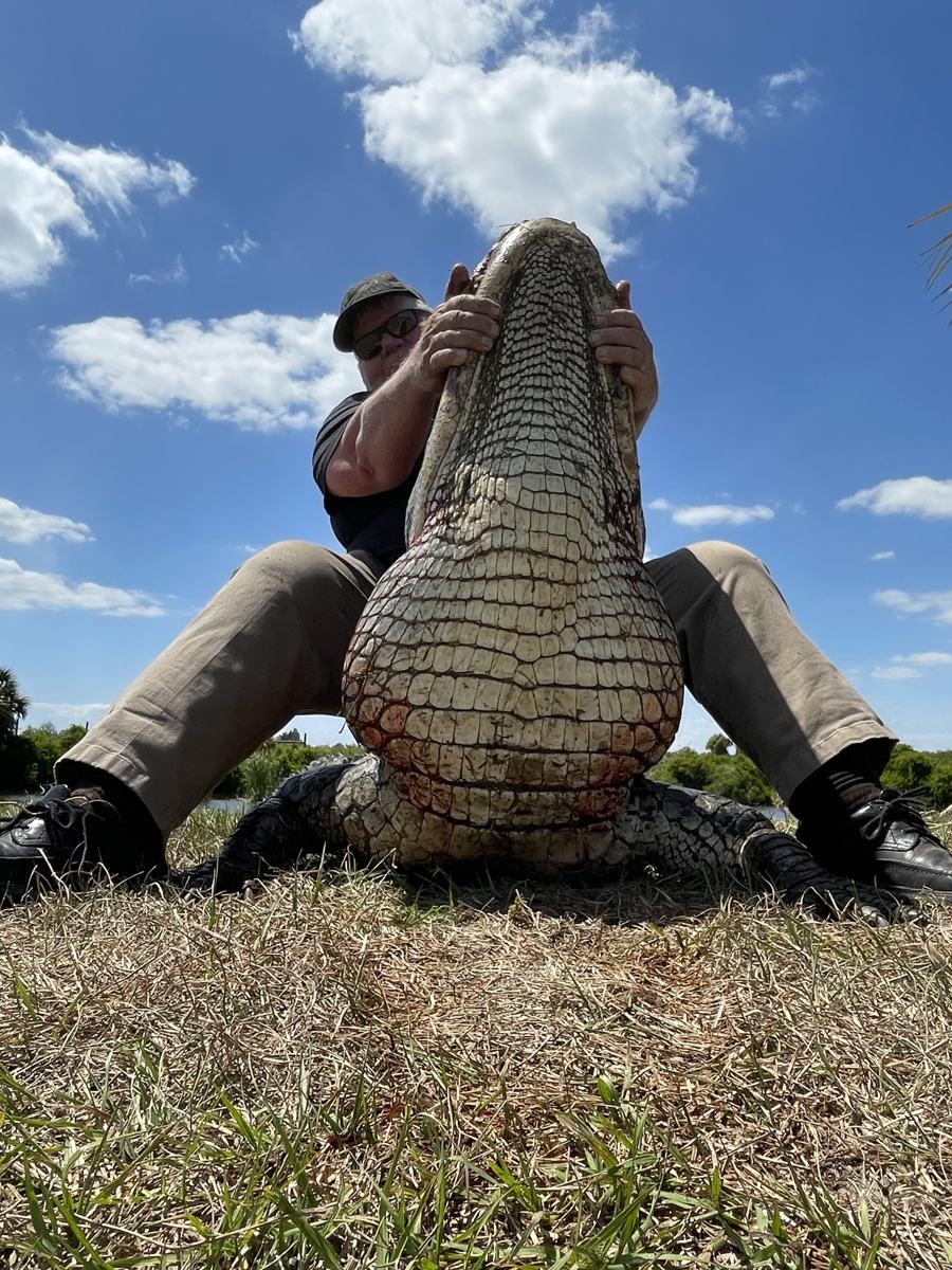 Hunter with a harvested alligator