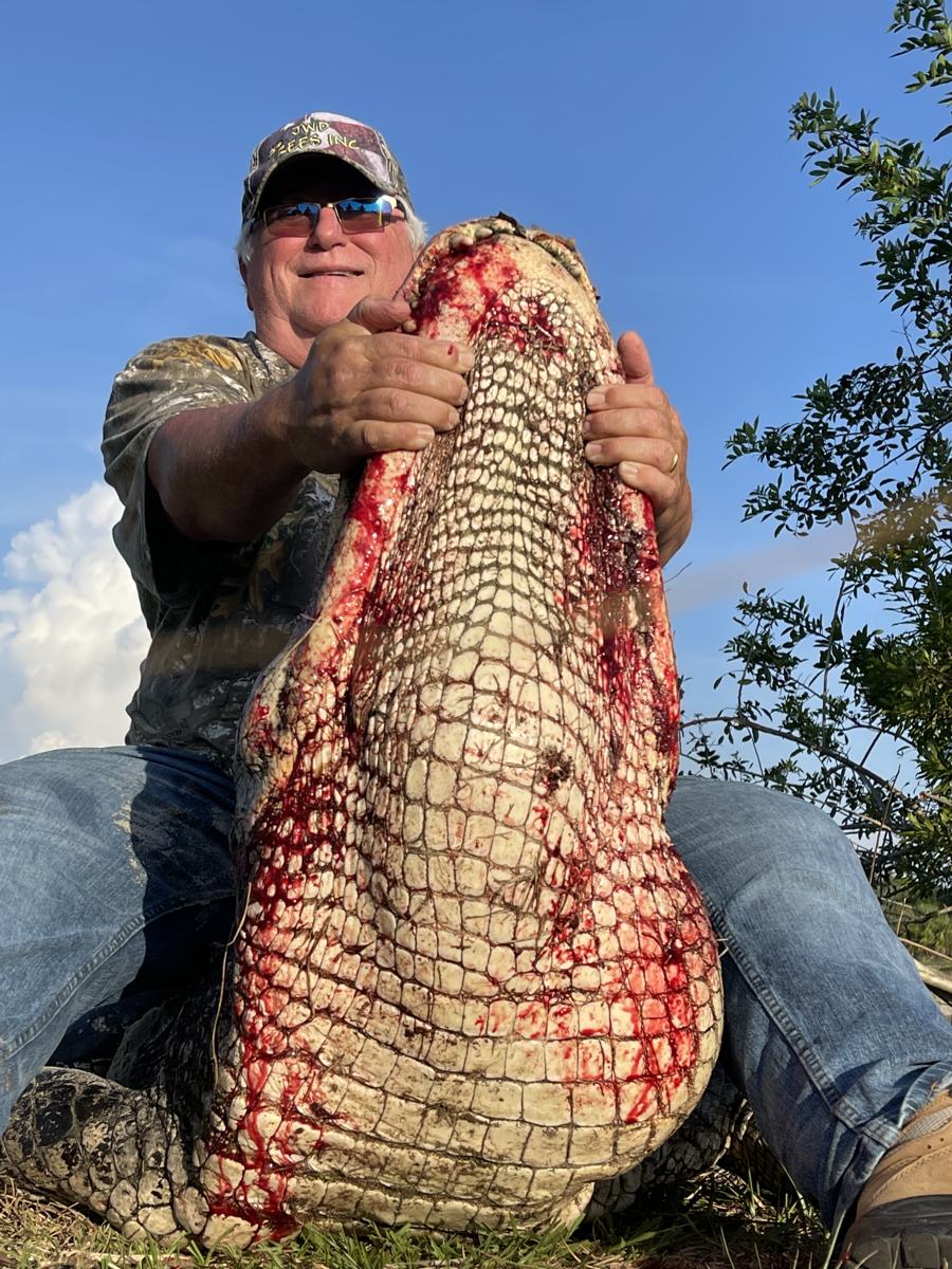 Hunter with a harvested alligator