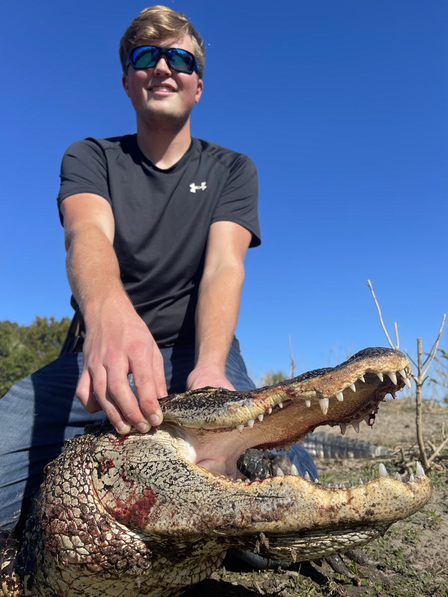 Hunter with a harvested alligator