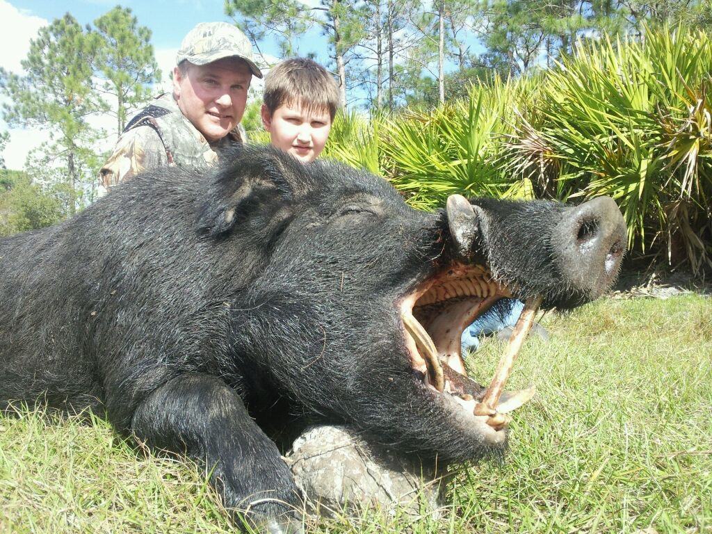 Hunter with a harvested wild hog