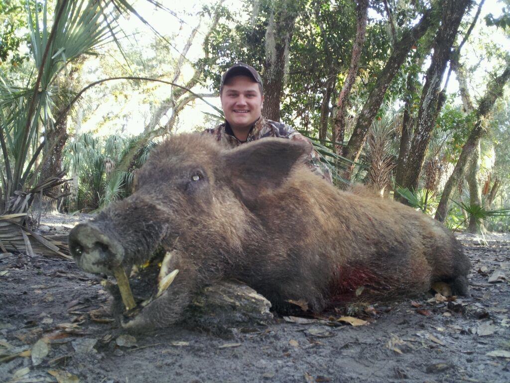 Hunter with a harvested wild hog