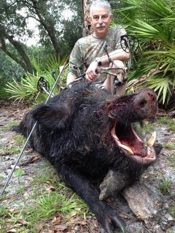 Hunter with a harvested wild hog