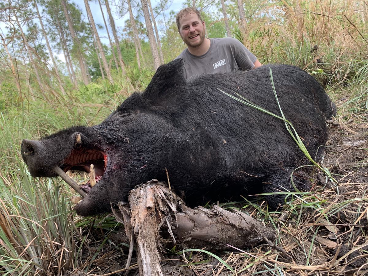 Hunter with a harvested wild hog