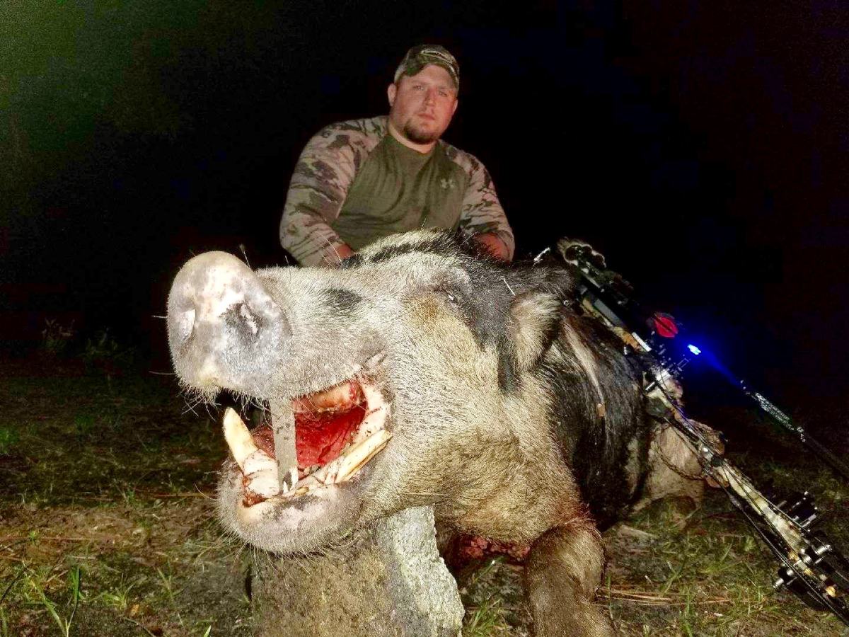 Hunter with a harvested wild hog