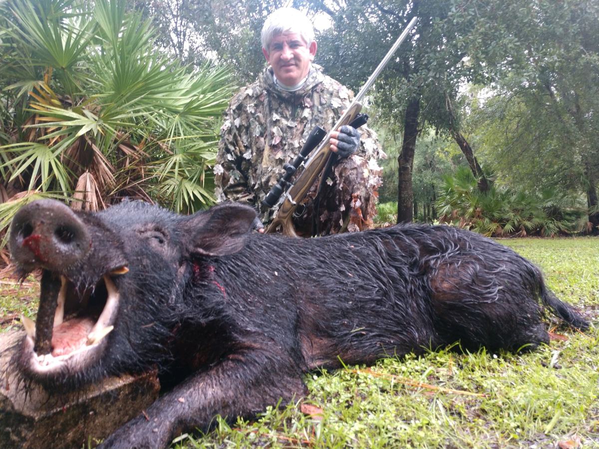 Hunter with a harvested wild hog