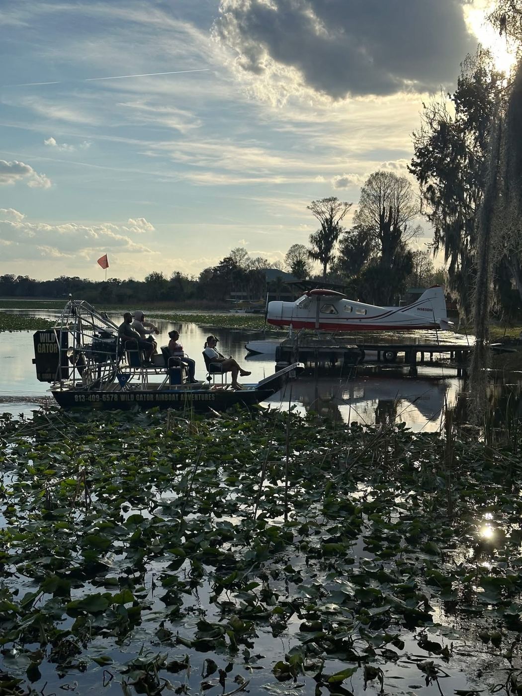 Neighbors on the water