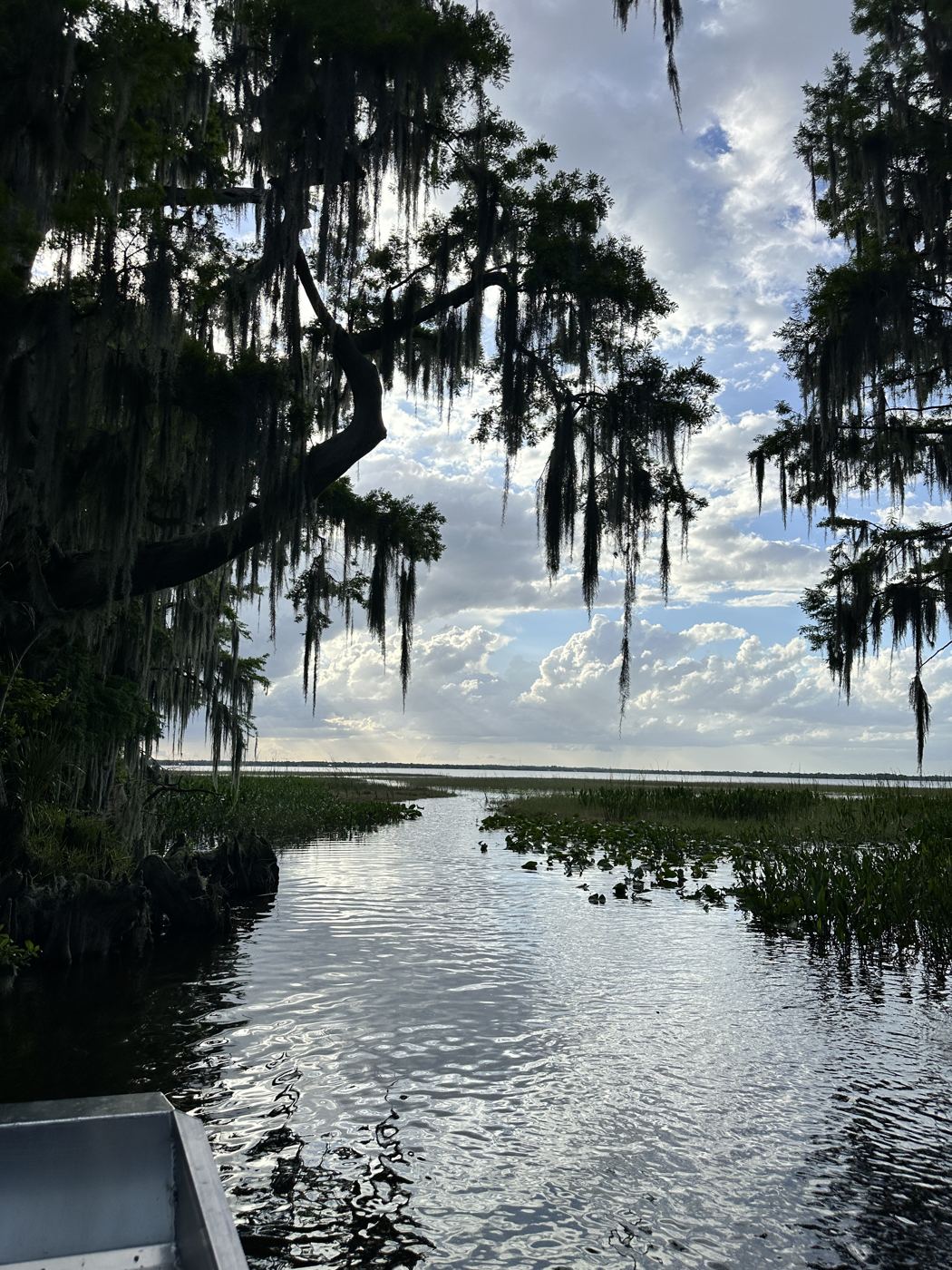 The lake seen through Spanish moss