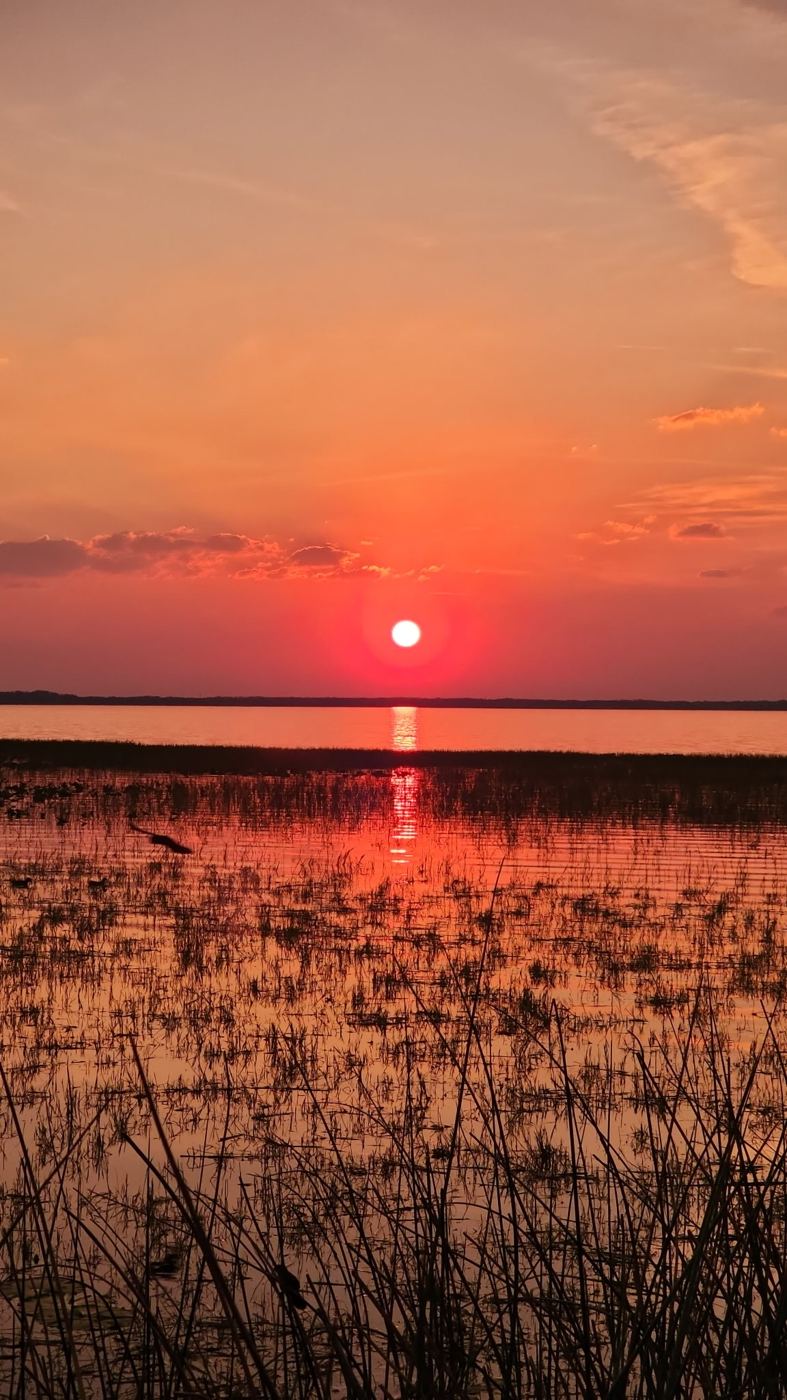 Red sunset over the lake and reeds