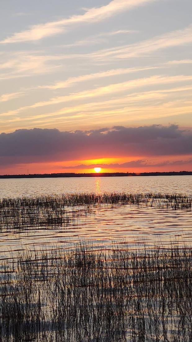 Sunset over the reeds
